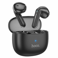 Беспроводные наушники Bluetooth Hoco EW29 (TWS, вкладыши) Черный