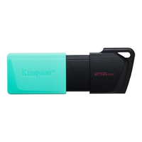 USB-флешка Kingston DataTraveler Exodia M (DTXM/256GB) 256GB USB 3.2 Черный/голубой