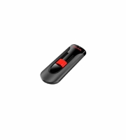 Накопитель USB 2.0 128GB SanDisk Ultra CZ60 (SDCZ60-128G-B35) Black