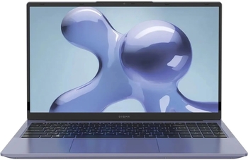Ноутбук Digma Echo/15.6"/IPS/AMD Athlon Gold 3150C/8Gb/256Gb SSD/AMD Radeon Graphics/Windows 11 Pro/