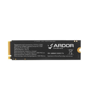 256 ГБ M.2 NVMe накопитель ARDOR GAMING Lore L281 [AGL281G256]